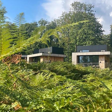 Forest Cube Oignies Ngoại thất bức ảnh