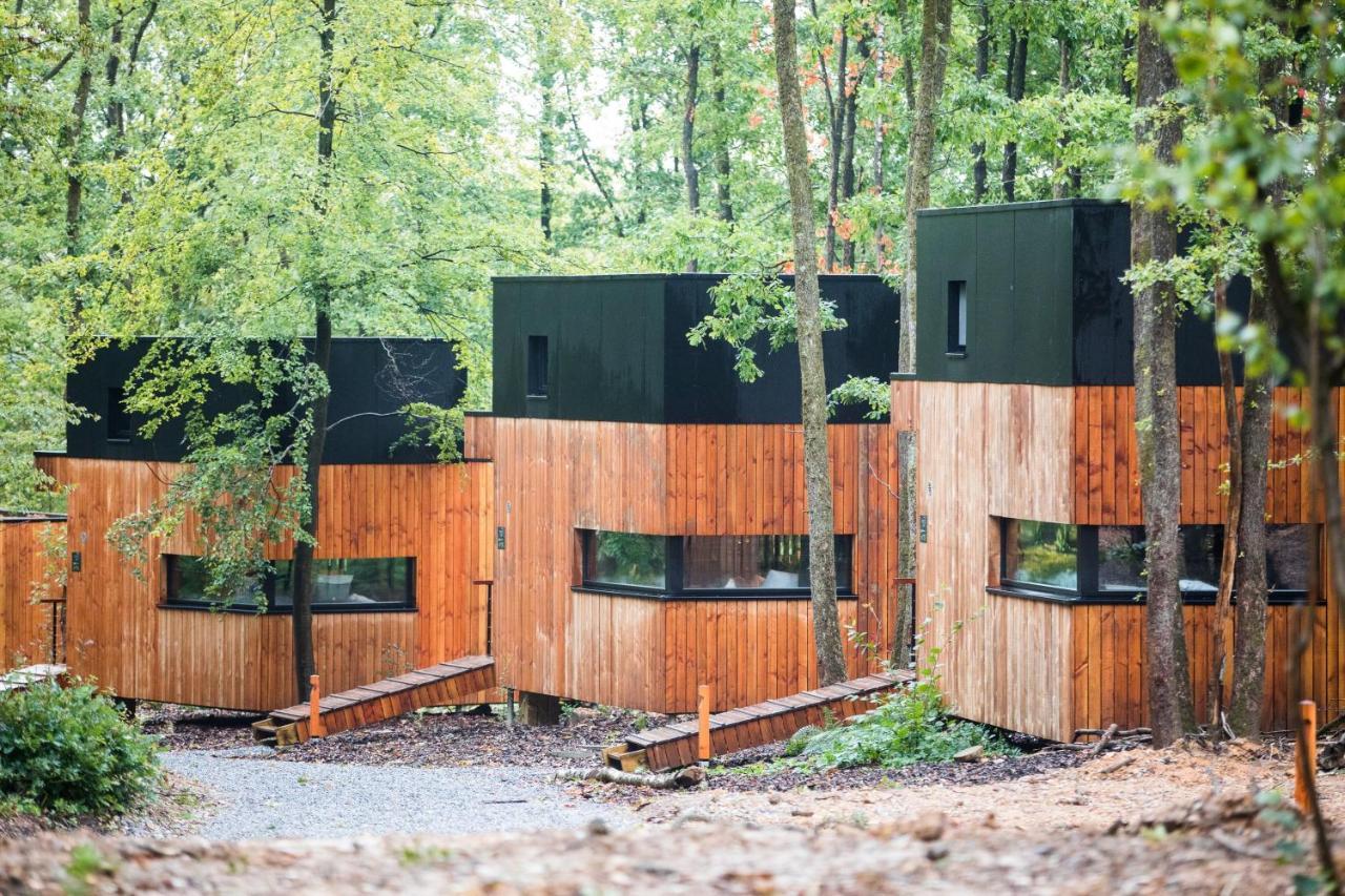 Forest Cube Oignies Ngoại thất bức ảnh