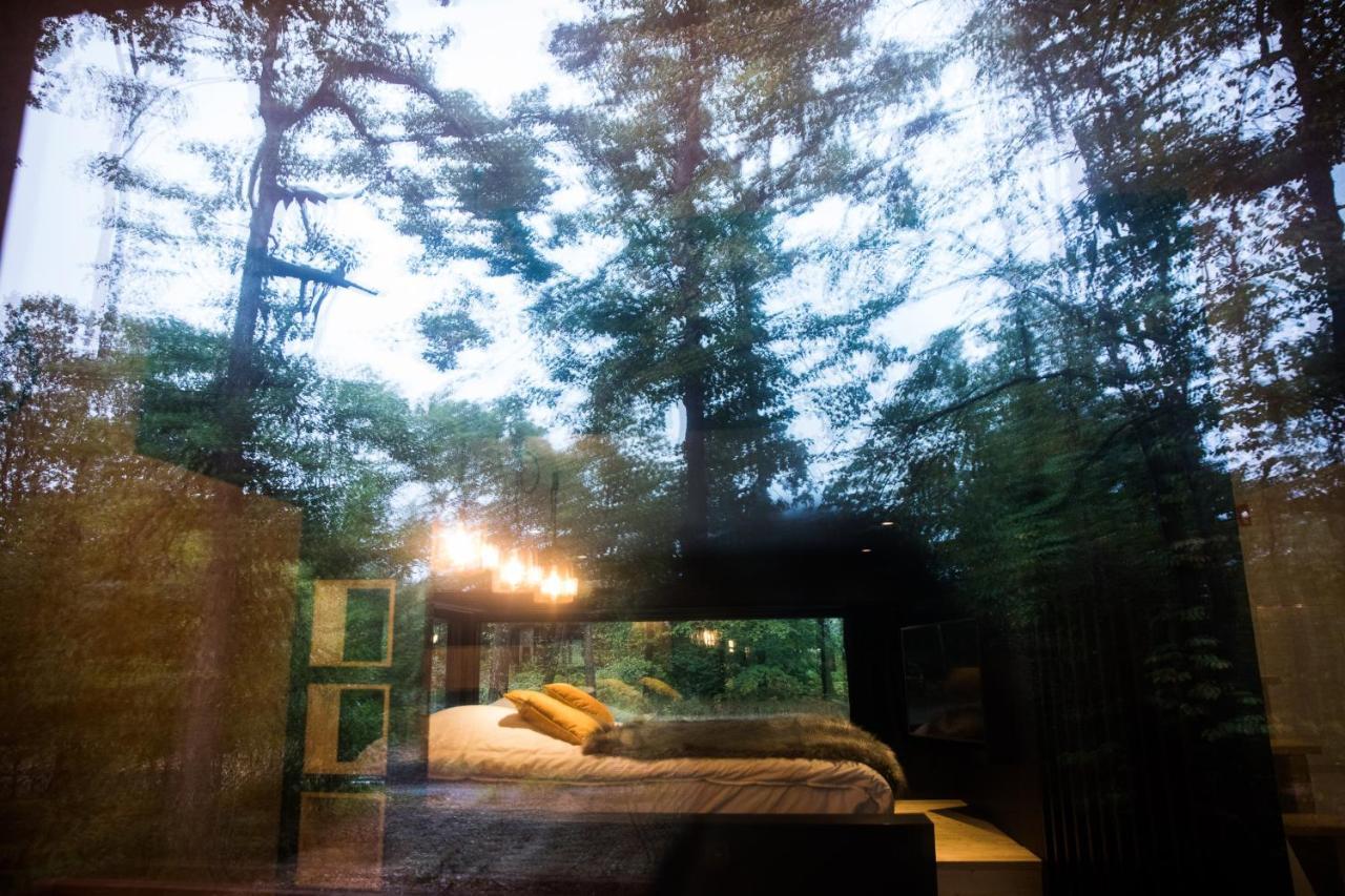 Forest Cube Oignies Ngoại thất bức ảnh