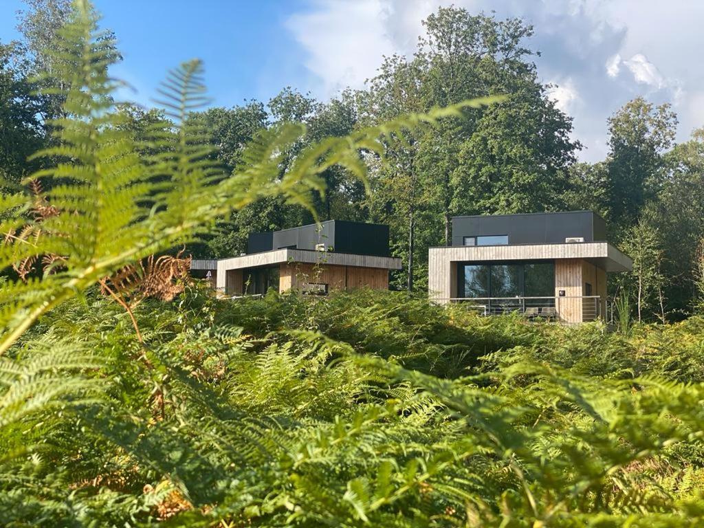 Forest Cube Oignies Ngoại thất bức ảnh